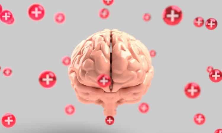 What Does Neuroplasticity Mean?