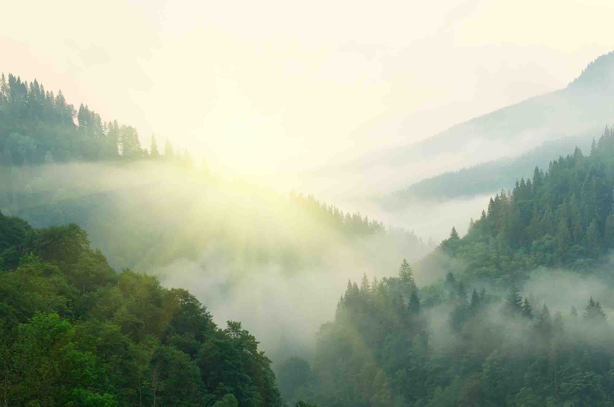 Why the Smoky Mountains Are a Great Place for Medical Detox