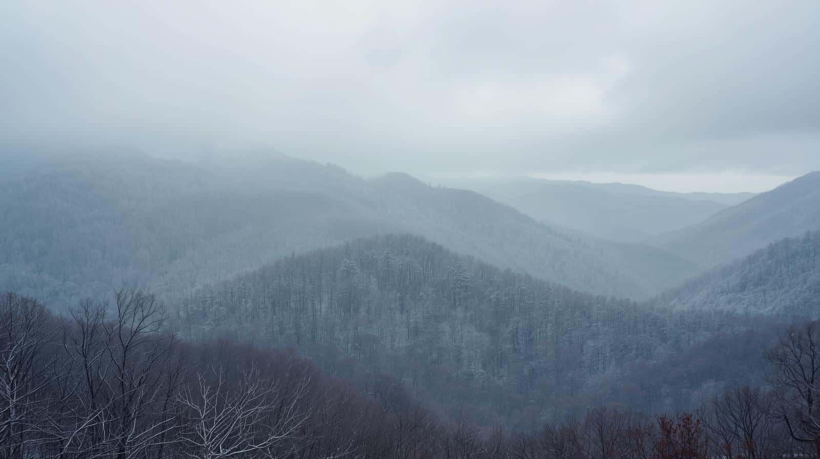 Tips for Navigating Seasonal Affective Disorder for Tennessee Residents Tips for Navigating Seasonal Affective Disorder for Tennessee Residents