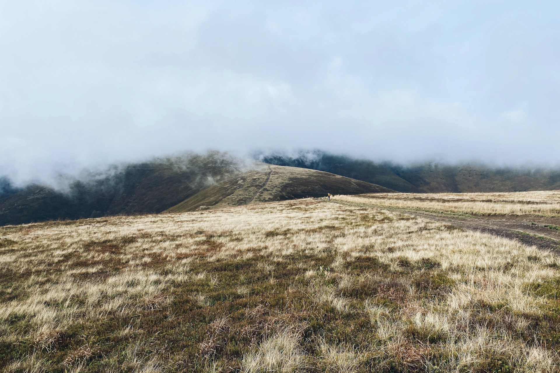 The Connection Between Isolation and Relapse: Why Winter in the Smokies Requires Extra Support